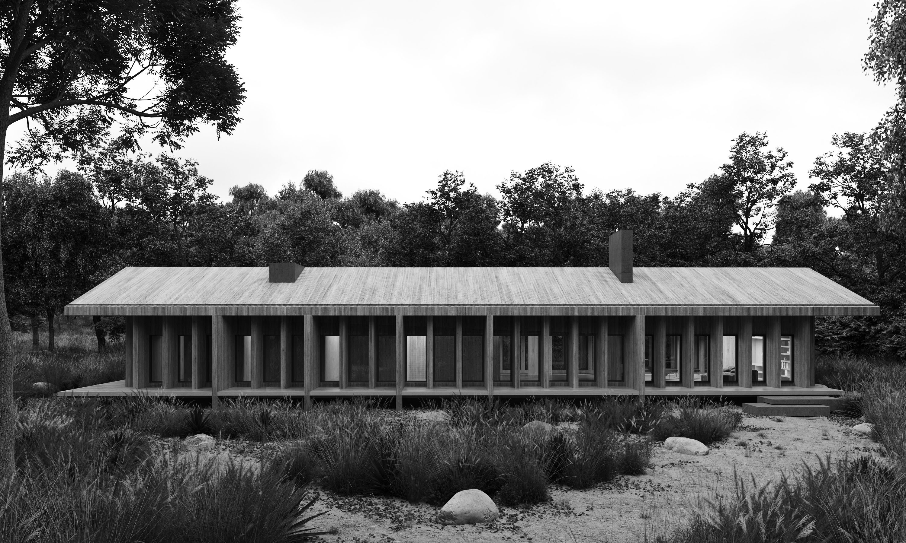casa m